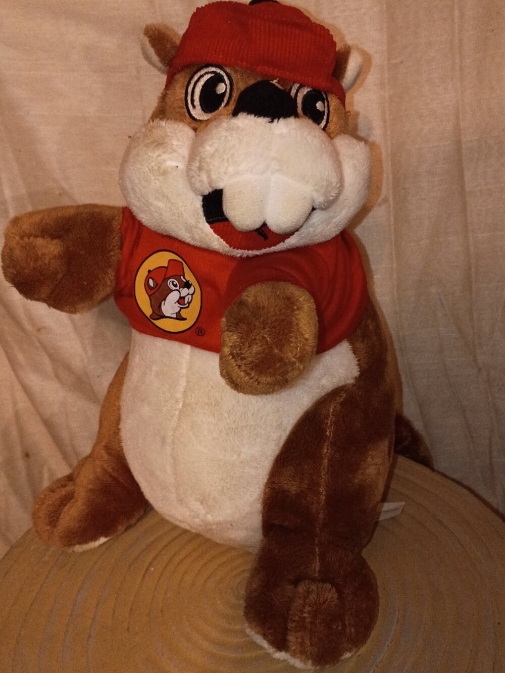 Buc-ee's Plush Bucky the Beaver
